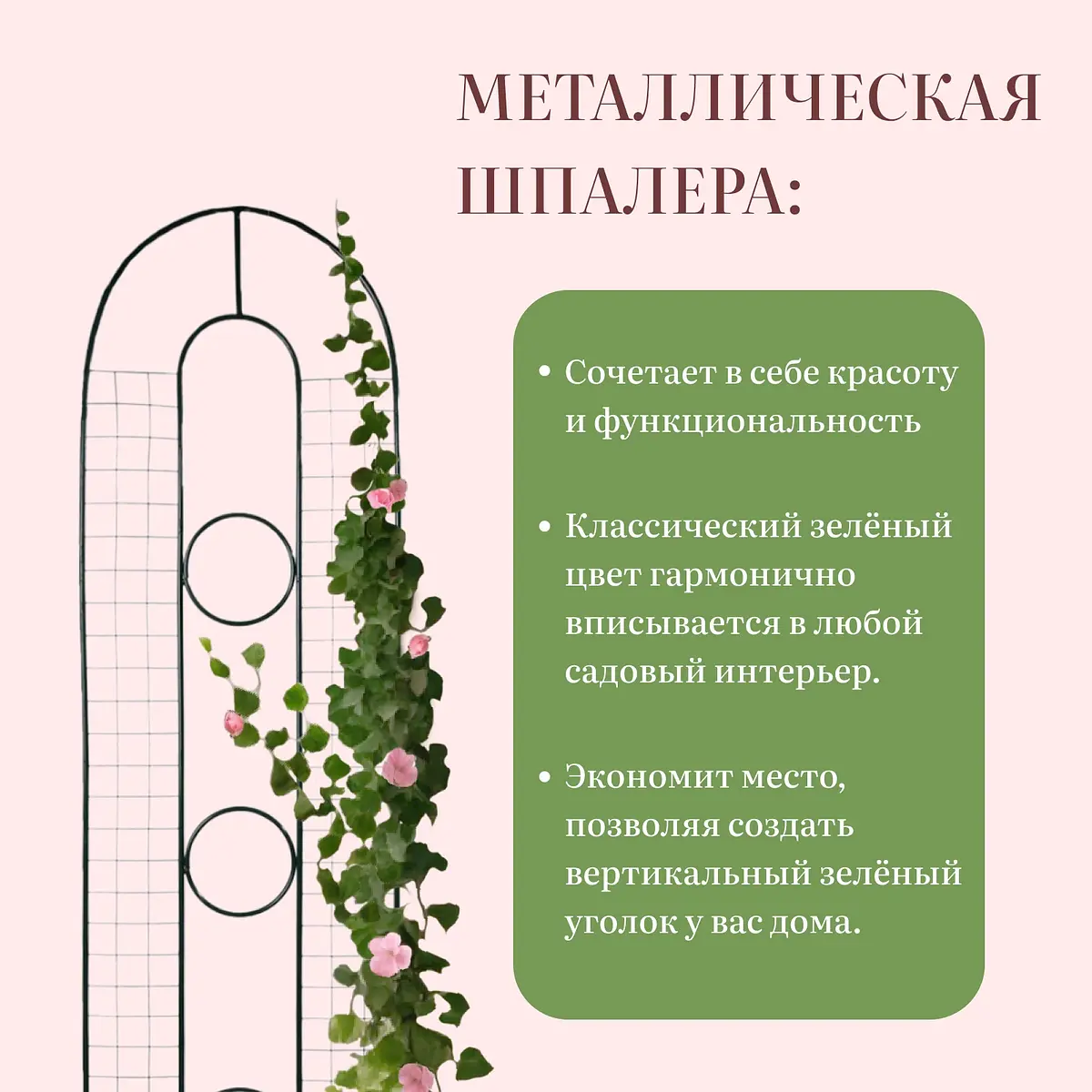 Шпалера — для огород — фото 2