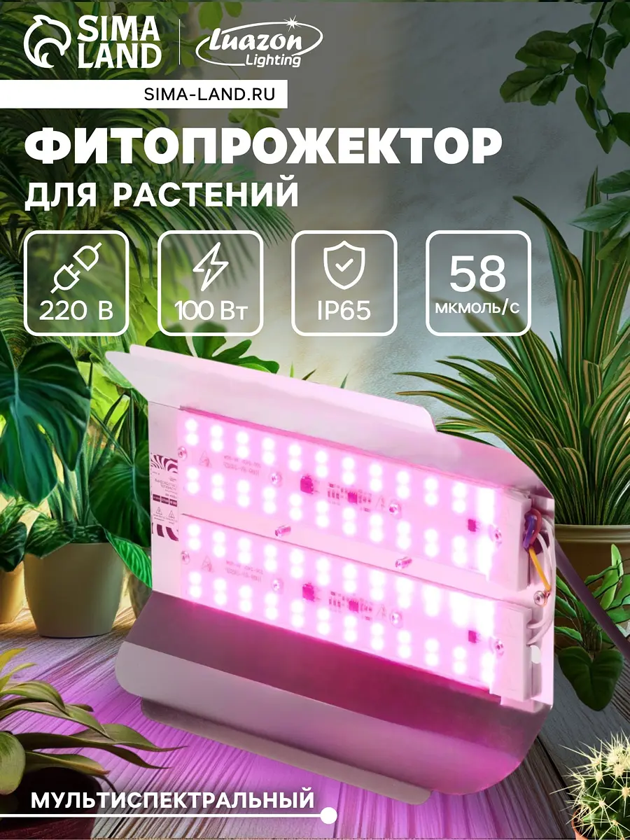 Фитопрожектор для растений сдо09-100 — для теплица