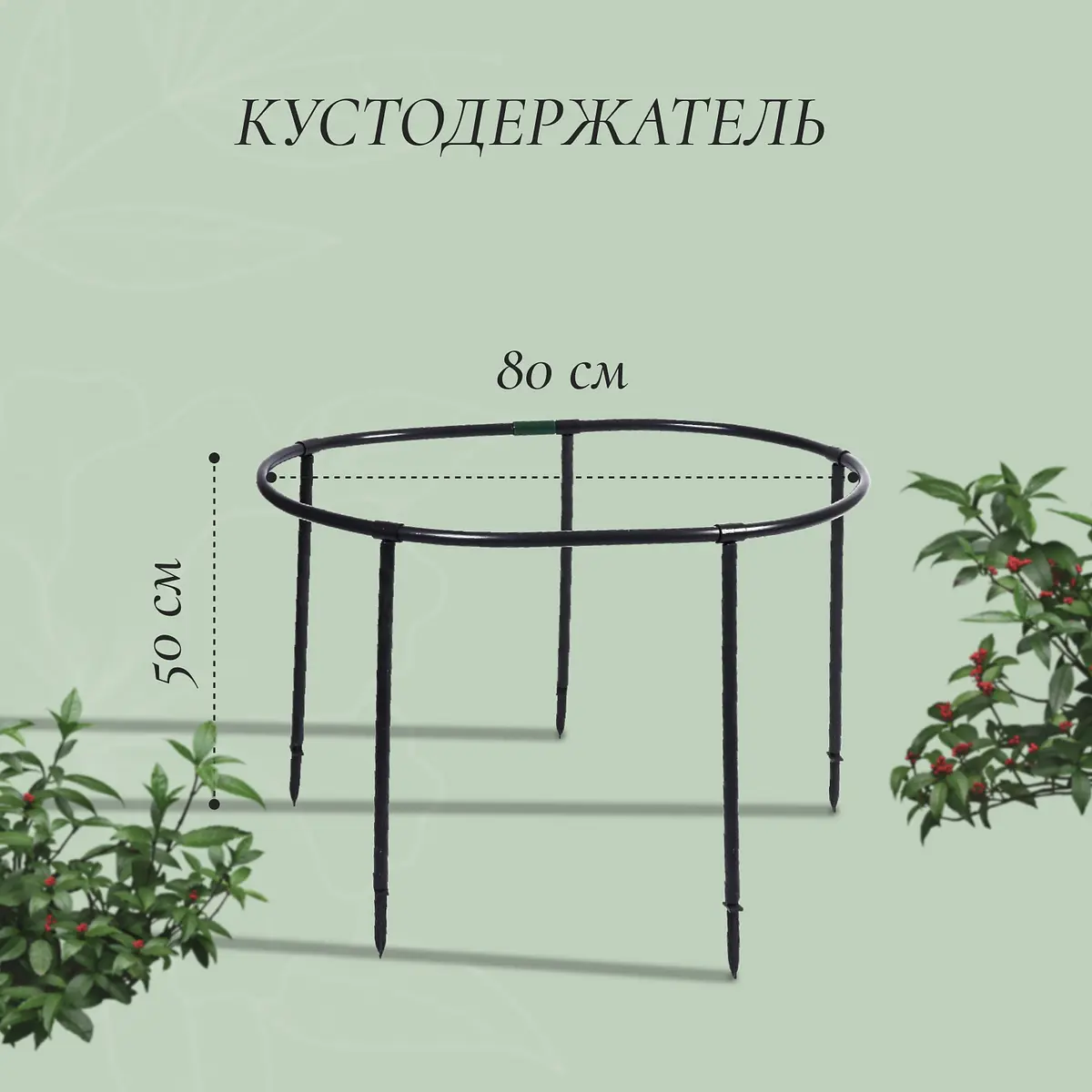 Кустодержатель