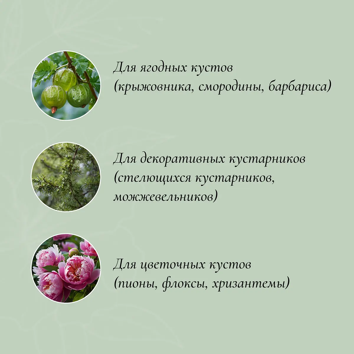 Кустодержатель — фото 2
