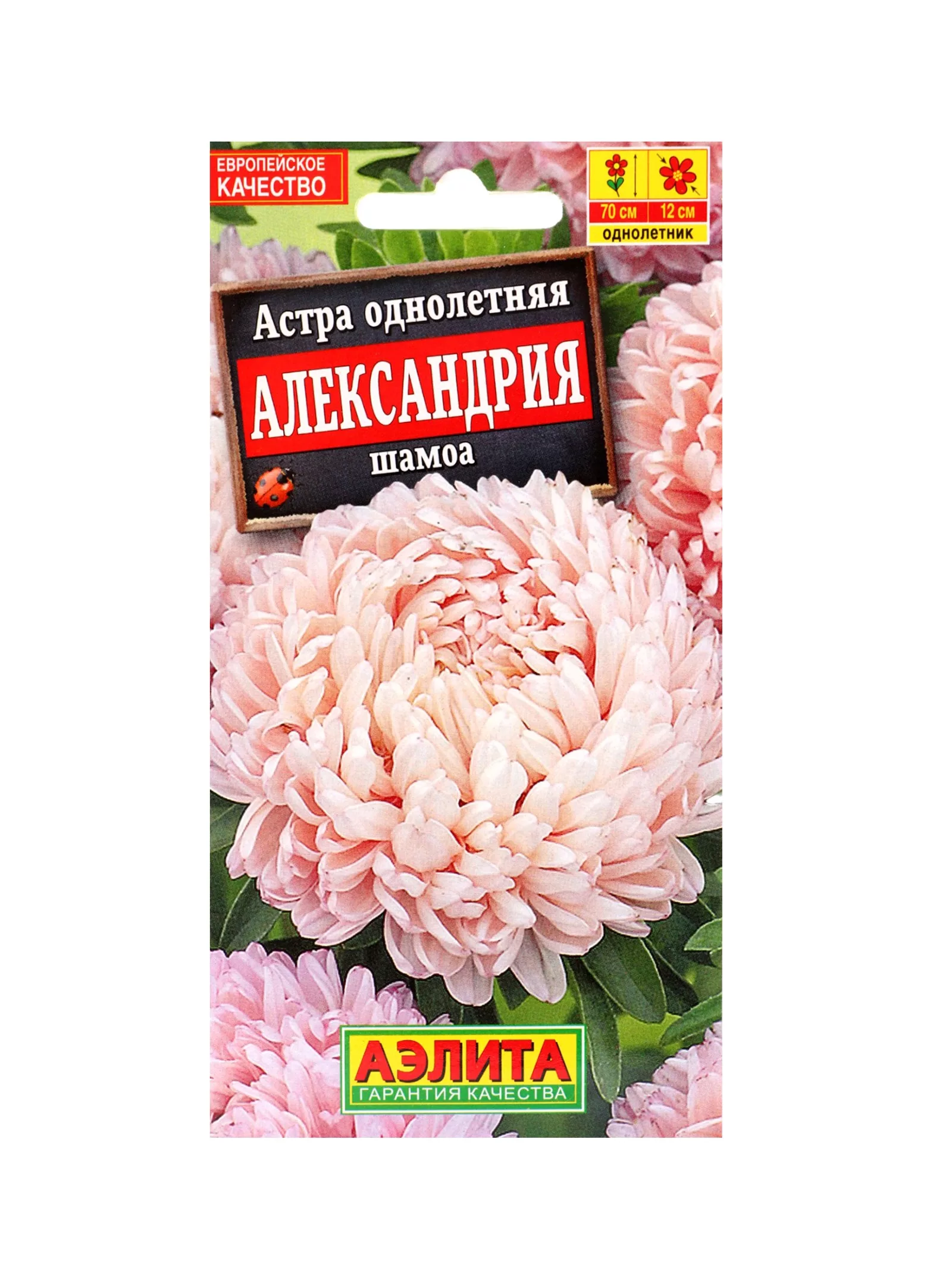 Набор семян цветов Астра — для огород — фото 9