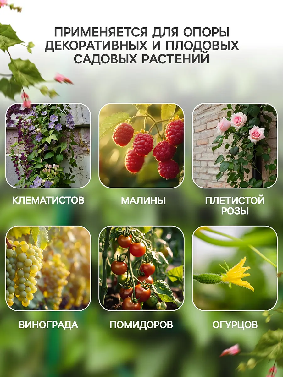 Шпалера — для огород — фото 3