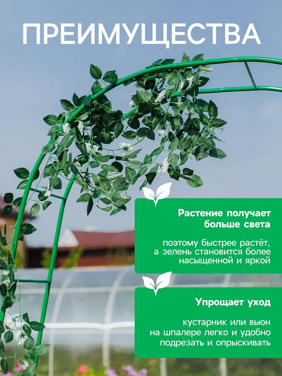 Шпалера — для огород — фото 4