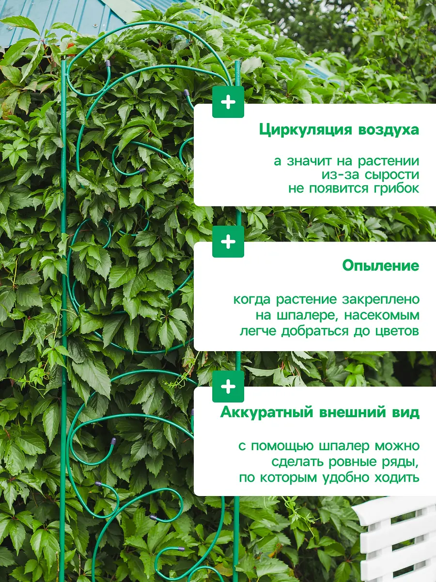 Шпалера — для огород — фото 5