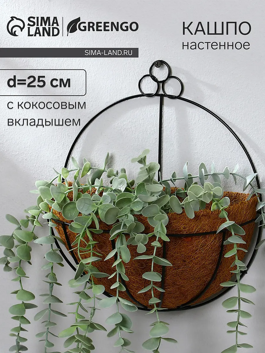 с кокосовым вкладышем — для декор
