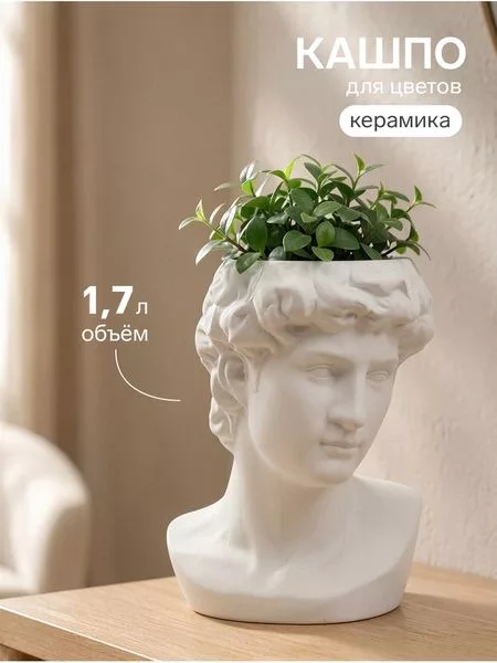 Декоративное кашпо для цветов «Голова Давида» — для декор