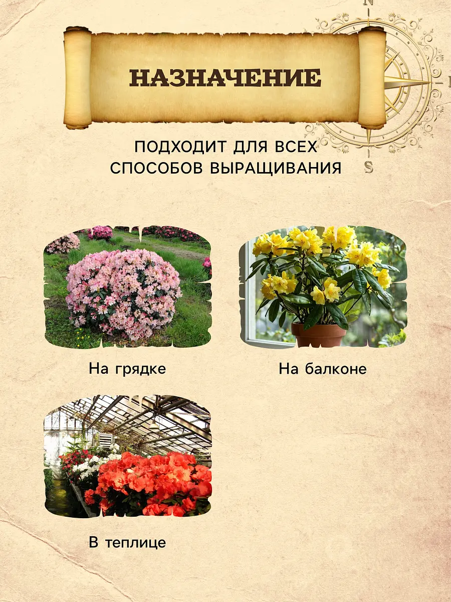 Грунт для рододендронов peter peat — для огород — фото 5