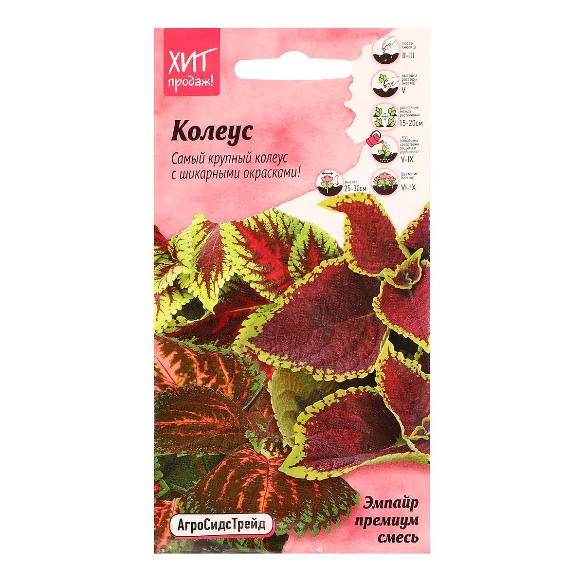 Семена цветов колеус — для огород