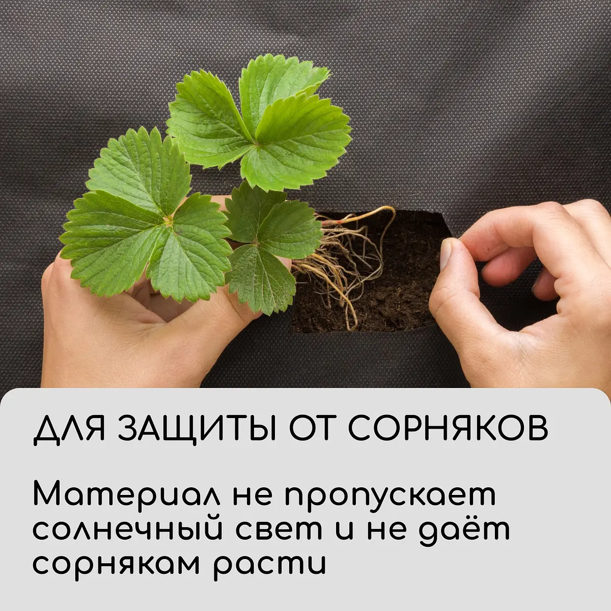 Материал для ландшафтных работ — для огород — фото 6