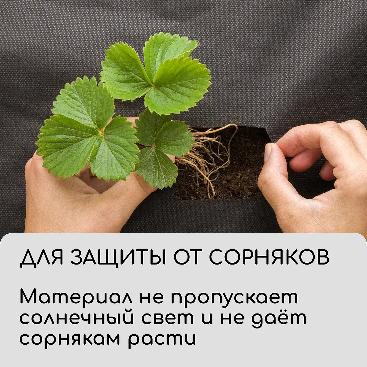 Материал для ландшафтных работ — для огород — фото 6