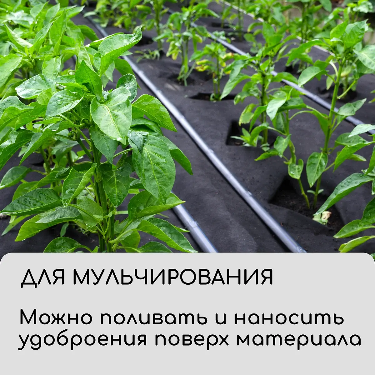 Материал для ландшафтных работ — для огород — фото 7