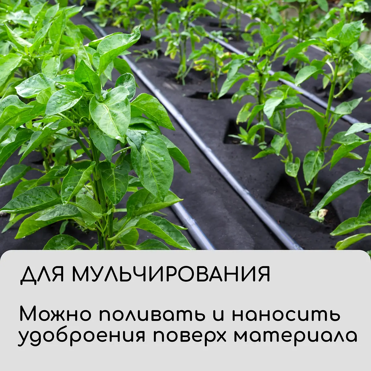 Материал для ландшафтных работ — для огород — фото 7