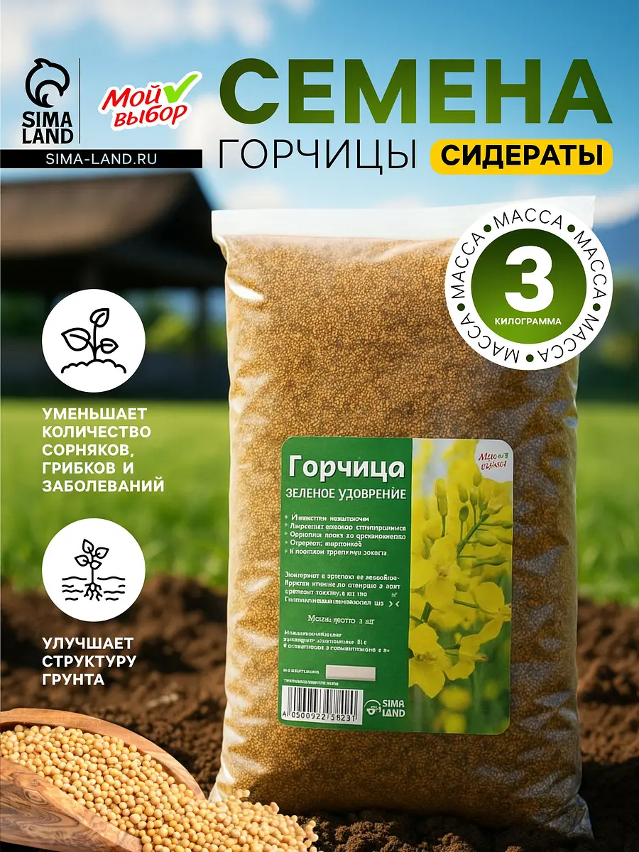 Семена горчица — для огород
