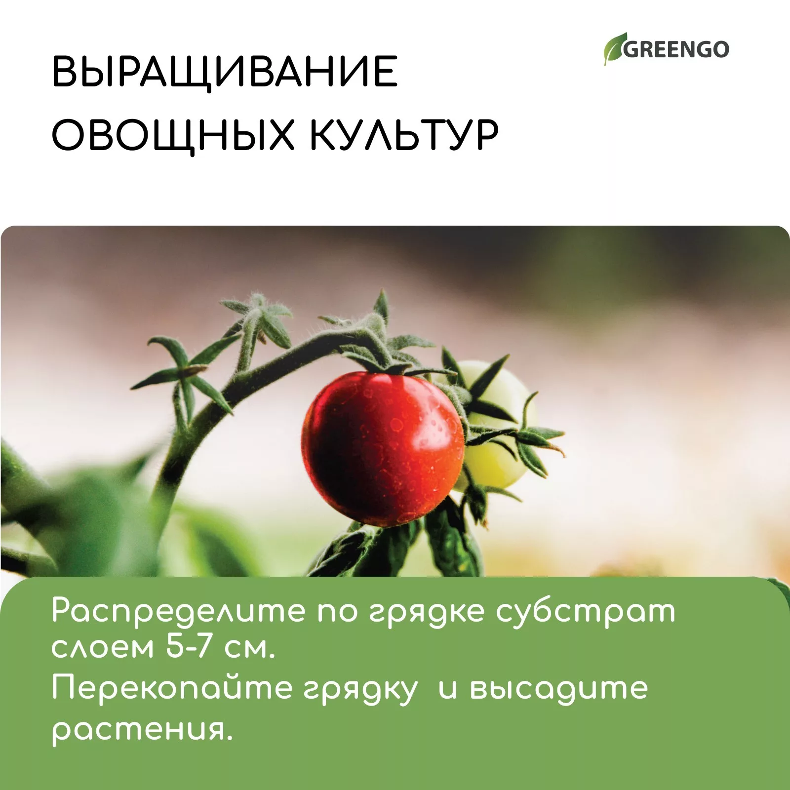 для террариумов и растений — для огород — фото 5