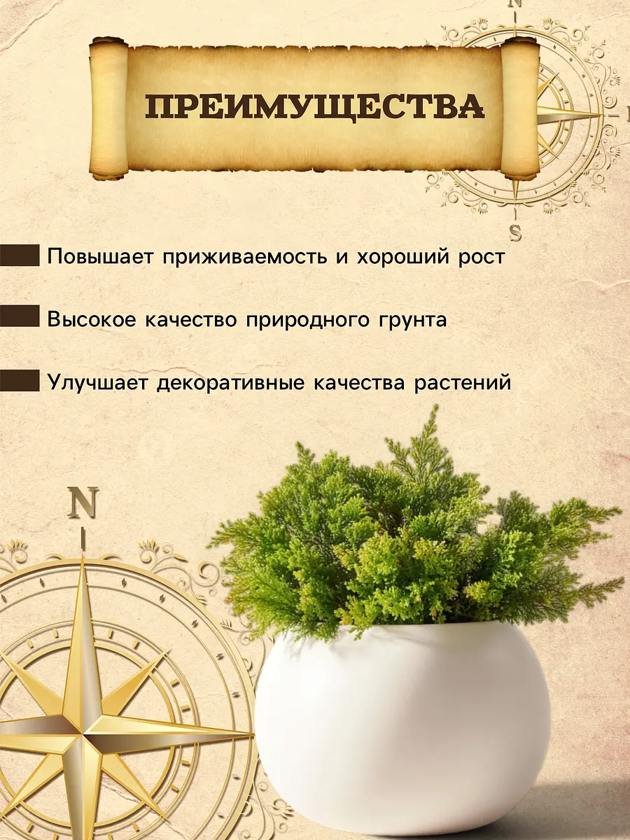 Грунт для туи и можжевельника — для огород — фото 3