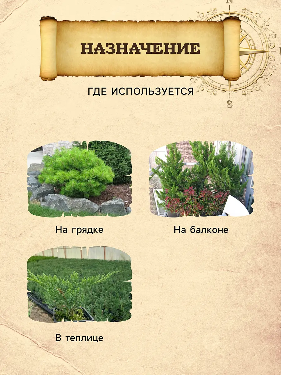 Грунт для туи и можжевельника — для огород — фото 5