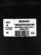 Арония черноплодная — для хранение — фото 5