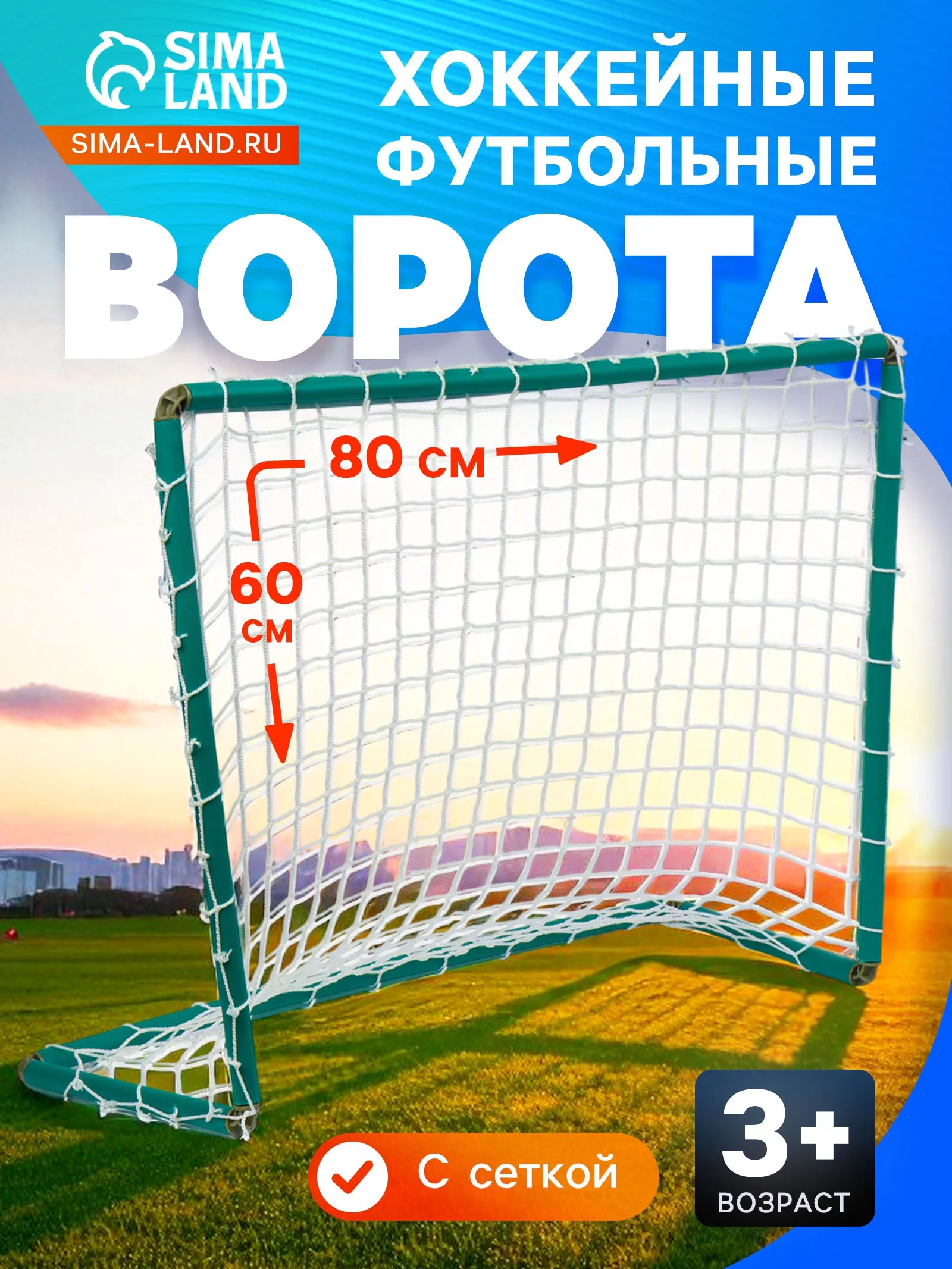 Ворота хоккейные — для участок