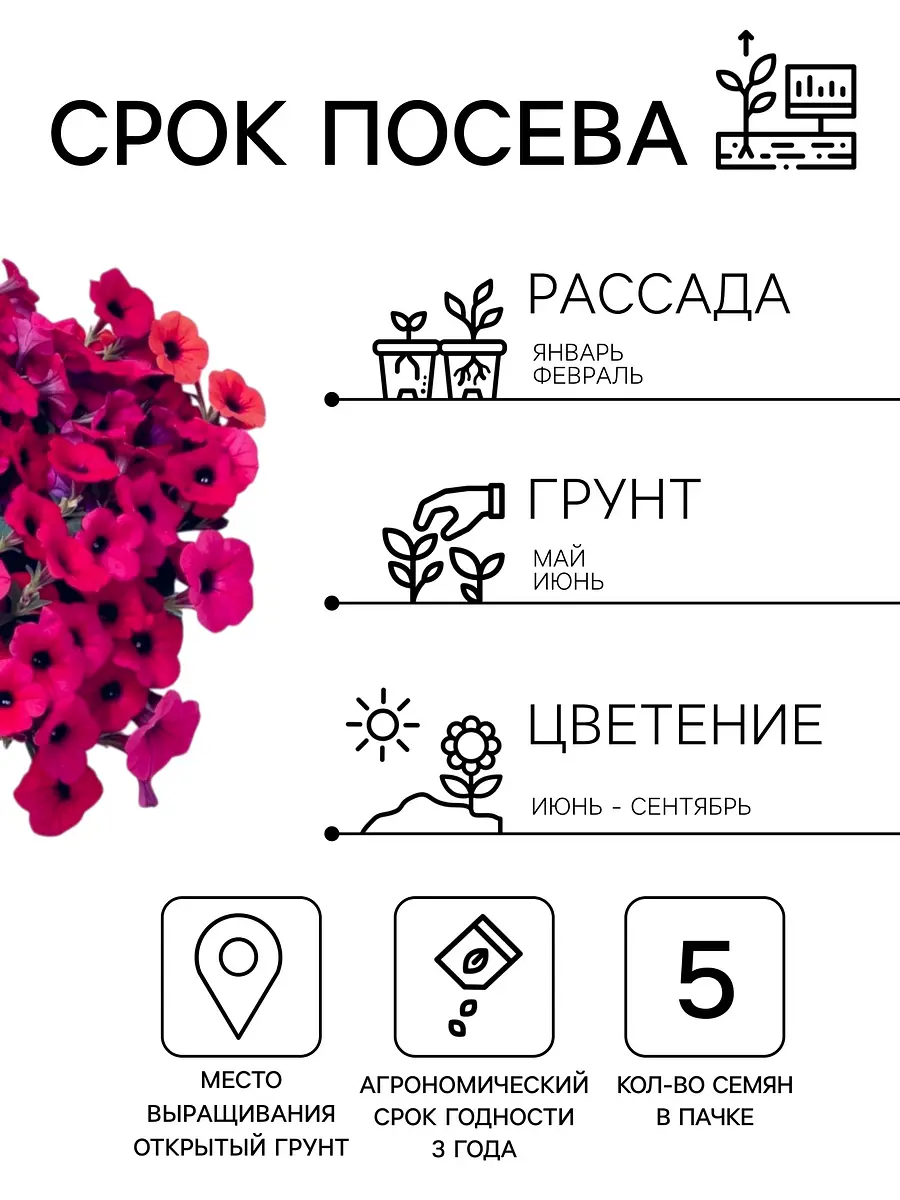 Семена цветов петуния каскадная тайдал вейв парпл — для огород — фото 2