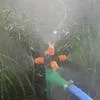Оранжевый распыляющий распылитель для удобного полива — для полив