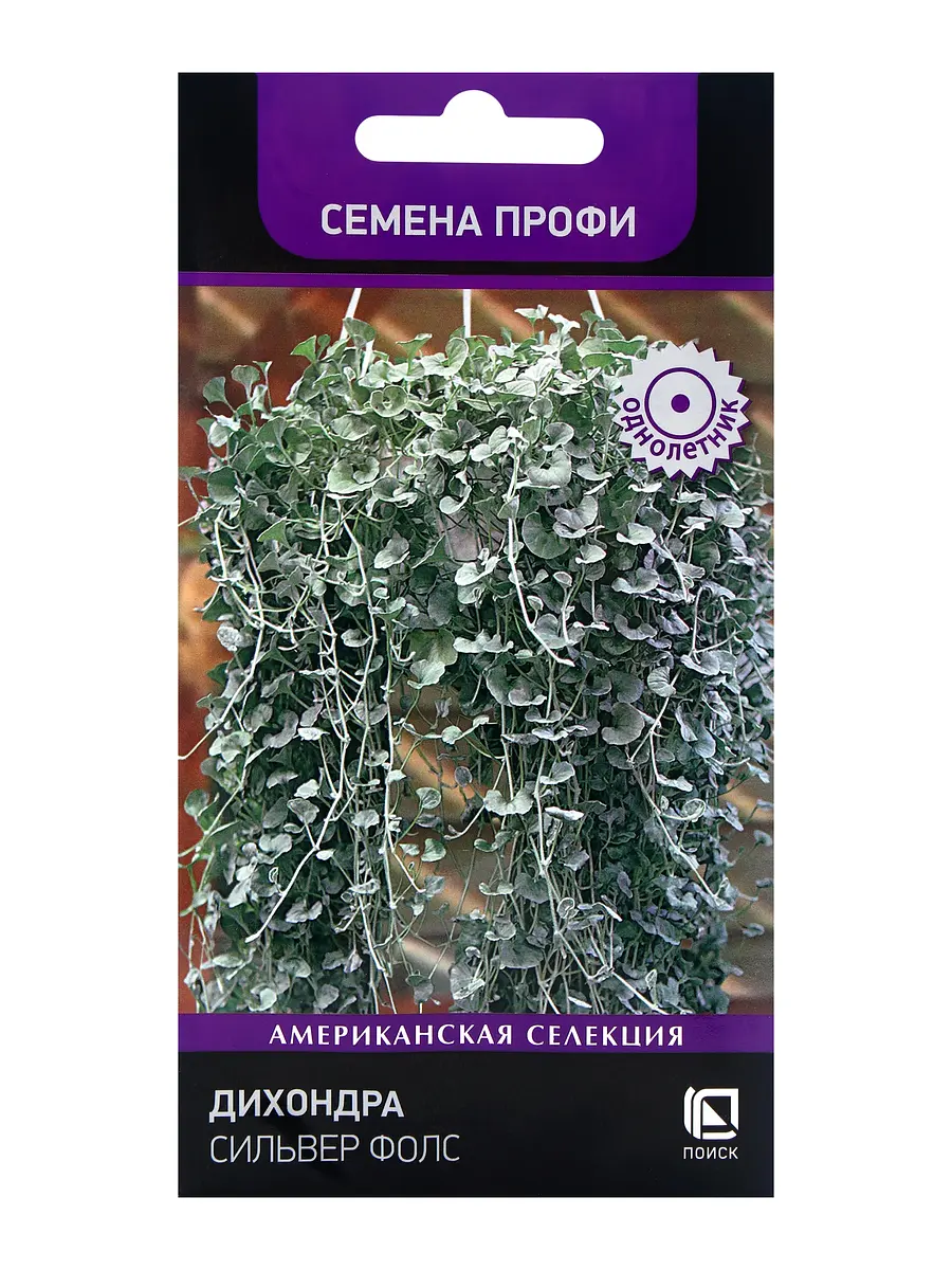 Семена цветов дихондра сильвер фолс — для огород
