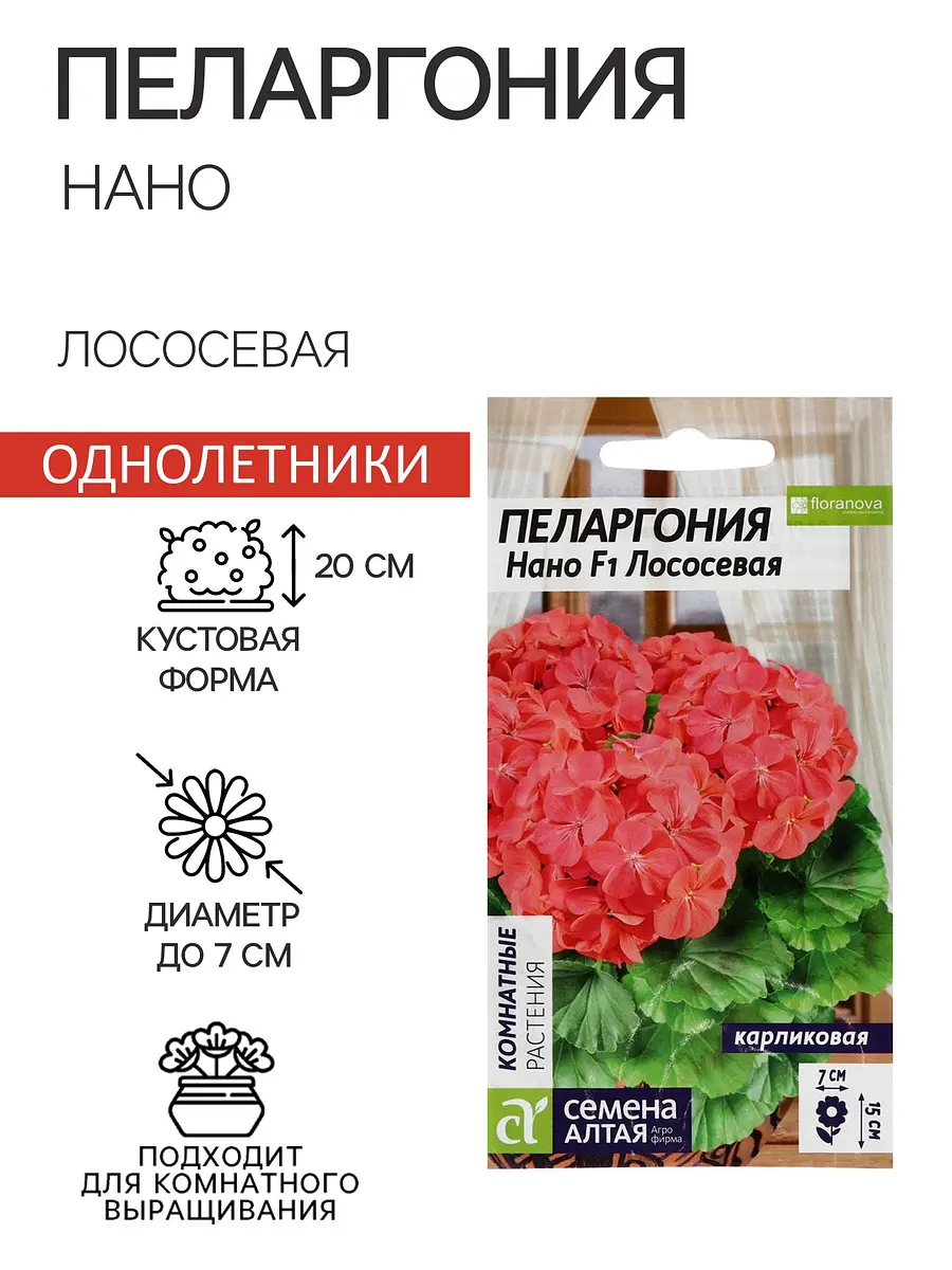Семена цветов пеларгония — для огород