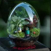 Стеклянная ваза для суккулентов с мхом — для участок — фото 6
