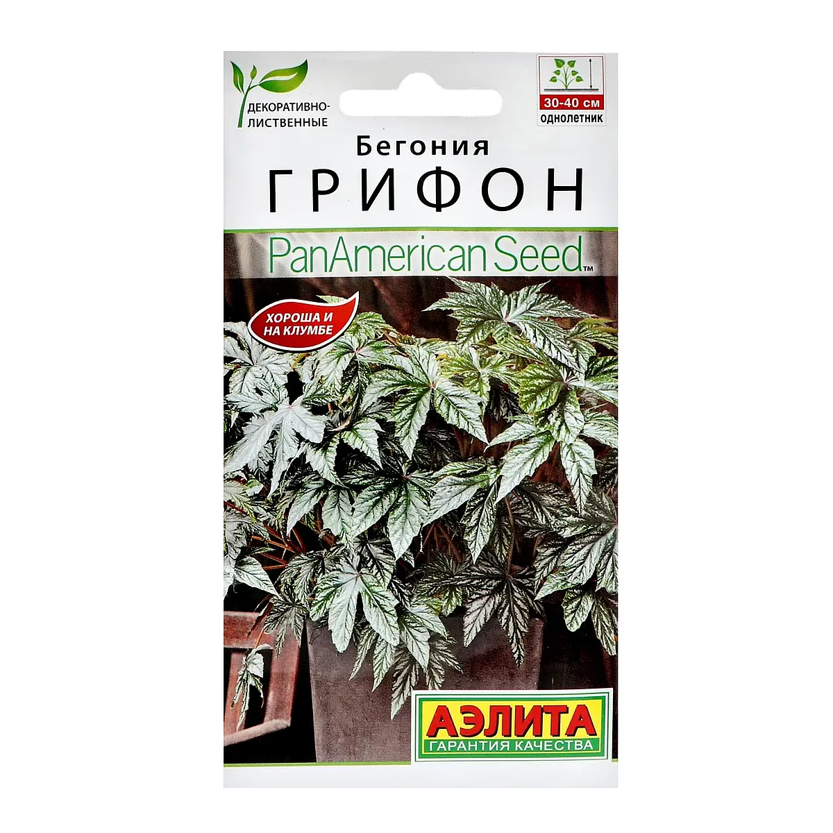 Семена цветов бегония — для огород