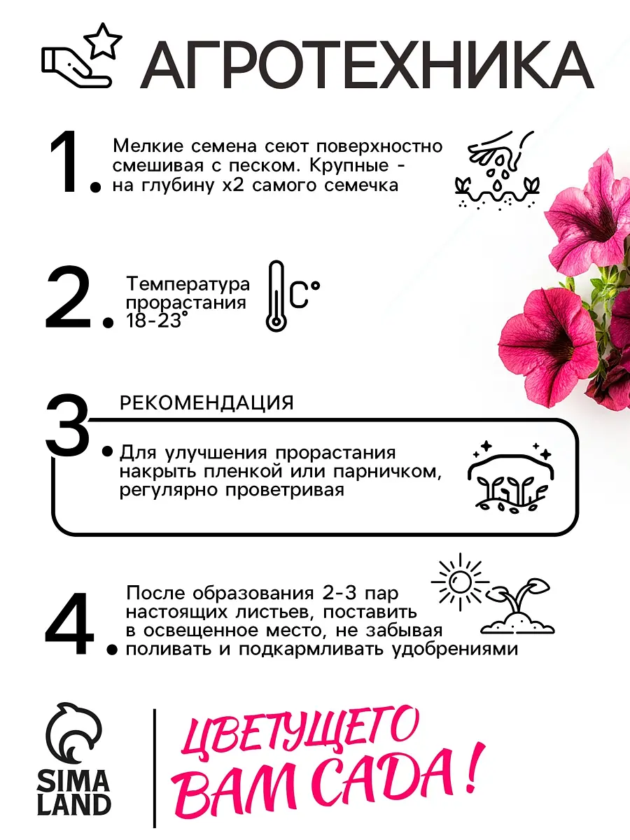 Семена цветов петуния — для огород — фото 4