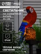 Садовый светильник «Красный Ара» — для участок — фото 9