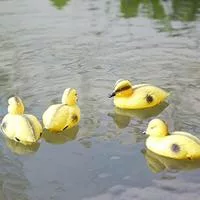 5 шт. Плавающие утки — охотничья приманка для водоёма — для участок — фото 2
