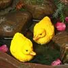 Открытый пруд во дворе с уткой-мандаринкой — для участок