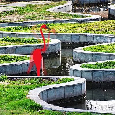 Фламинго Вертушка - Садовое Металлическое Искусство — для участок — фото 3