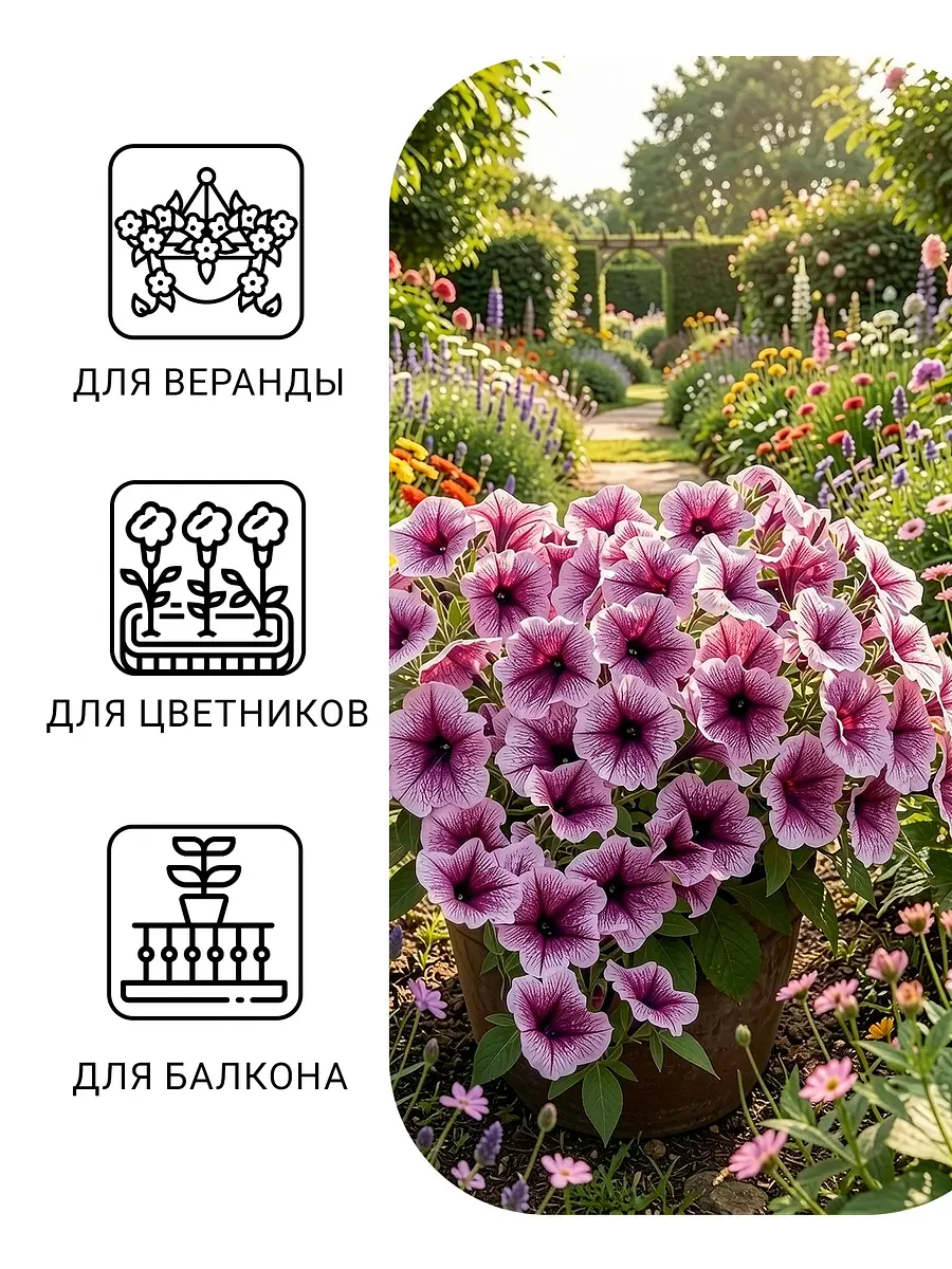Семена цветов петуния ампельная — для огород — фото 5
