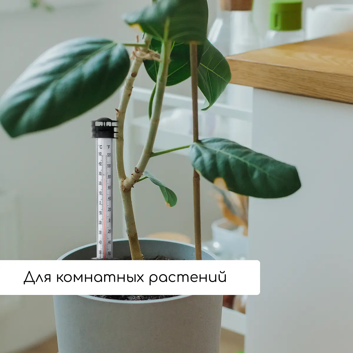 Термометр для измерения температуры почвы и воды — для огород — фото 4