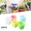 Садовый мини-тазик для суккулентов, 20 шт. — для участок