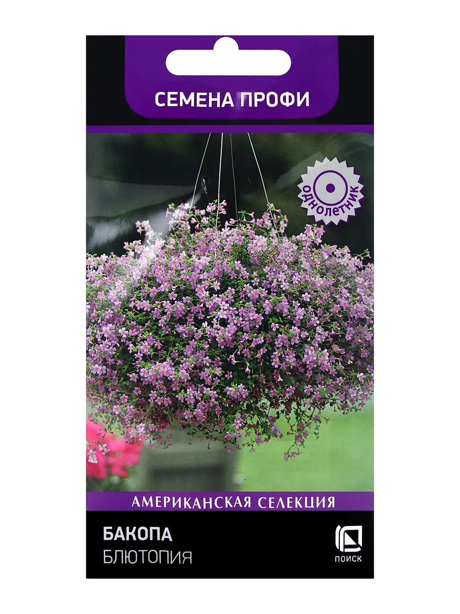 Семена цветов бакопа блютопия — для огород