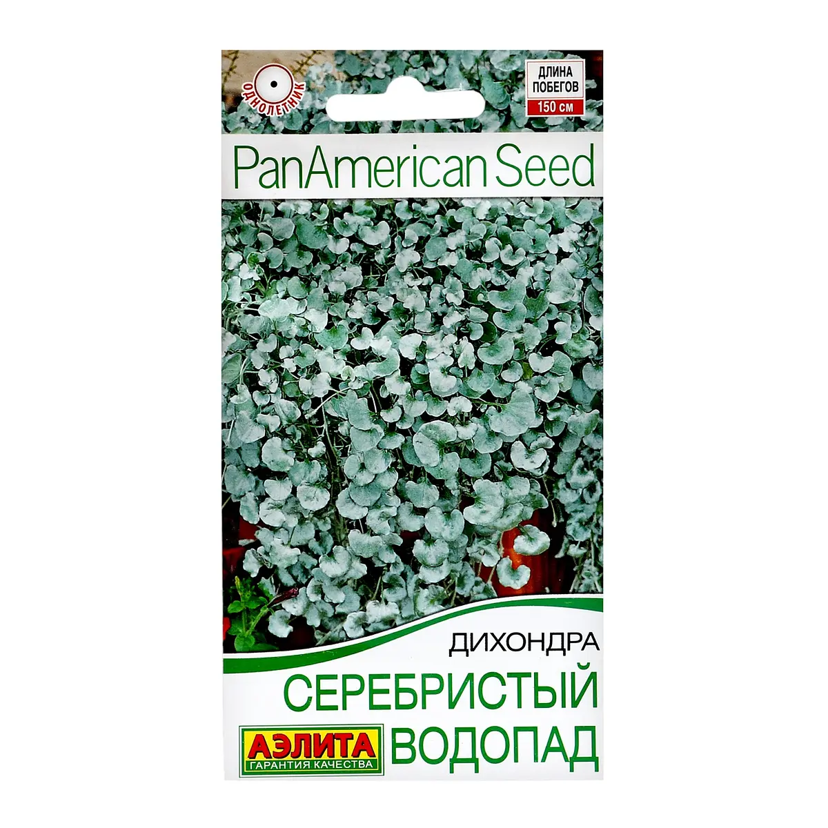 Семена цветов дихондра — для огород