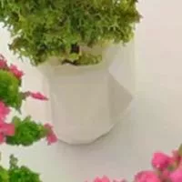 Кукольный домик с растением в горшке — для участок — фото 2