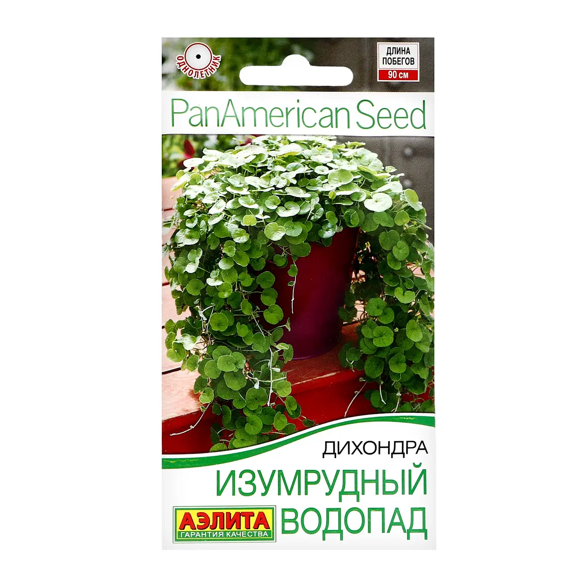 Семена цветов дихондра — для огород