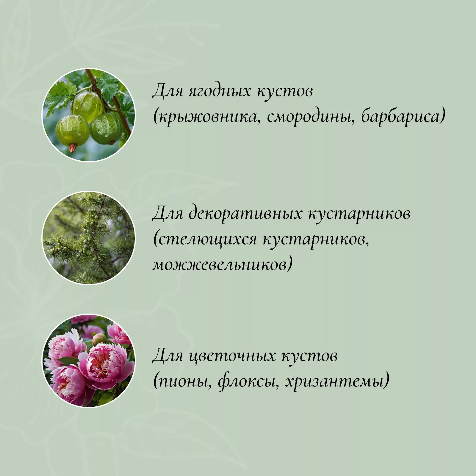 Кустодержатель — фото 2