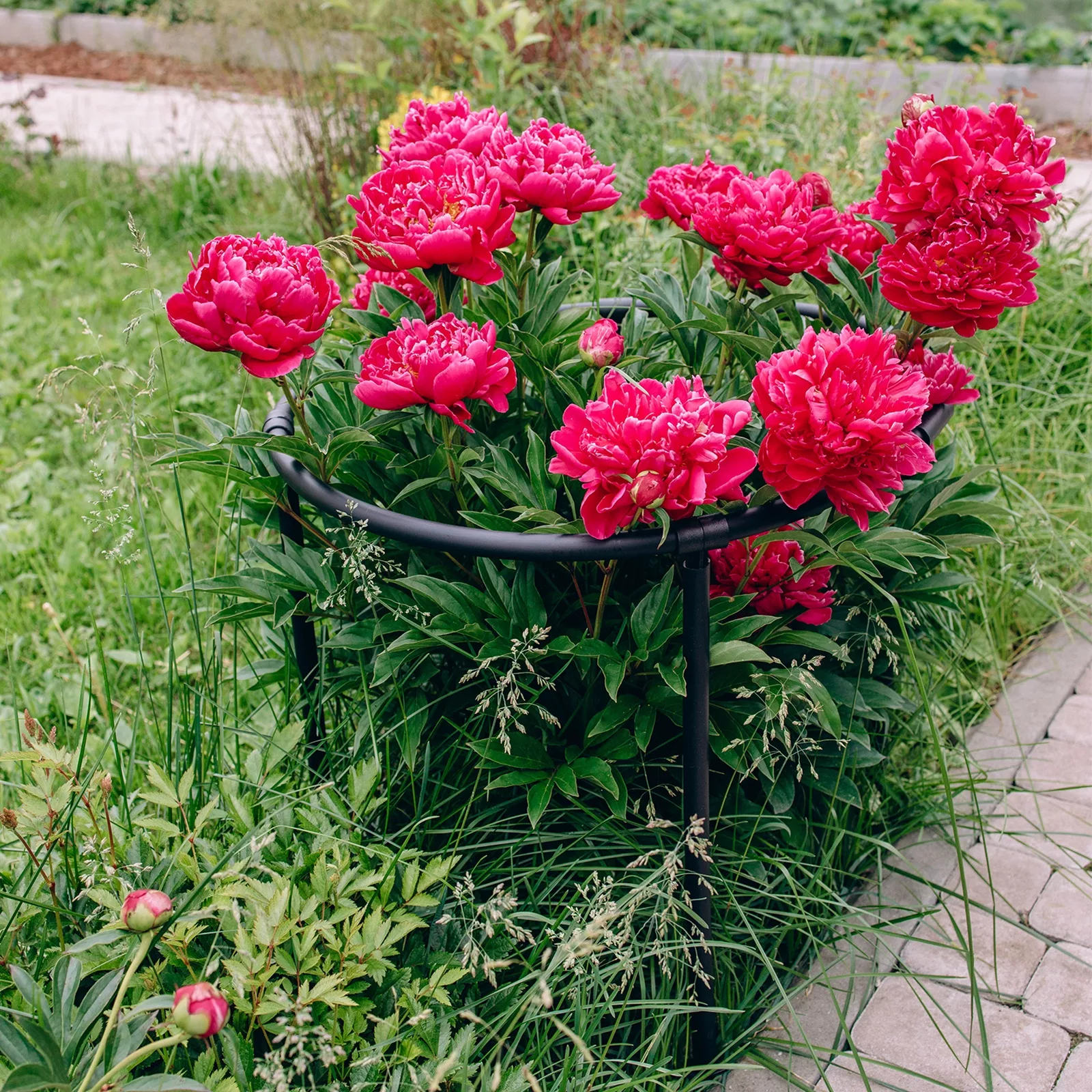 Кустодержатель — фото 4