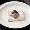 Садовый орнамент Крокодил — оригинальное украшение для вашего участка — для участок