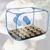 Садовая теплица Бокс для выращивания грибов с неподвижным воздухом Мешки для — для теплица