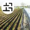 Шланговые Т-образные и Угловые Соединители с Бородавкой DN16мм DN20мм 1/2 5/8 Трубка — для полив