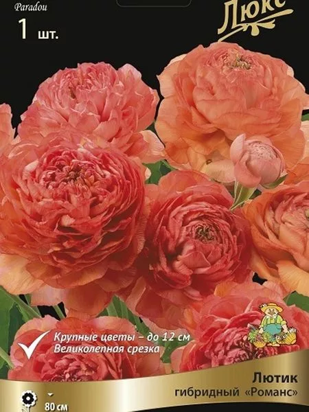 Ранюнкулюс «Романс Параду» — для полив