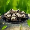 20 шт. Декоративная модель скелета