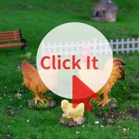 Горячая Распродажа Фигурки Петуха Курицы Модель Сельскохозяйственного Животного — для декор — фото 2