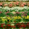 Сделай сам Миниатюрный Сад Декор Прочная Статическая Модель Пейзажа Ландшафт Варгейм — для участок