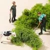 Искусственный мох для комнатных растений Реалистичный — для участок